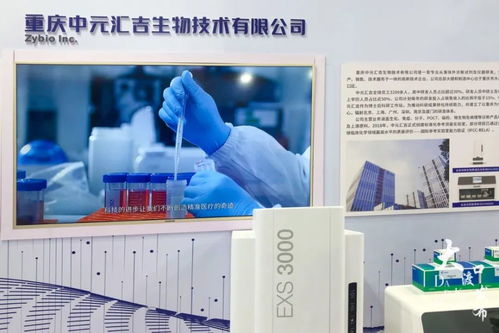2021智博會(huì) 大渡口區(qū)14家企業(yè)攜前沿科技產(chǎn)品集體亮相，展示區(qū)域創(chuàng)新實(shí)力
