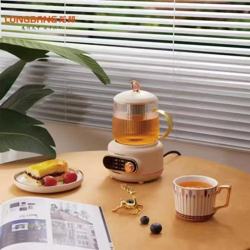 養(yǎng)生壺龍邦廠家、品牌、圖片與熱帖全解析｜一個(gè)茶飲愛(ài)好者的選購(gòu)避坑指南